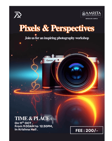 Poster of Pixels & Perspectives