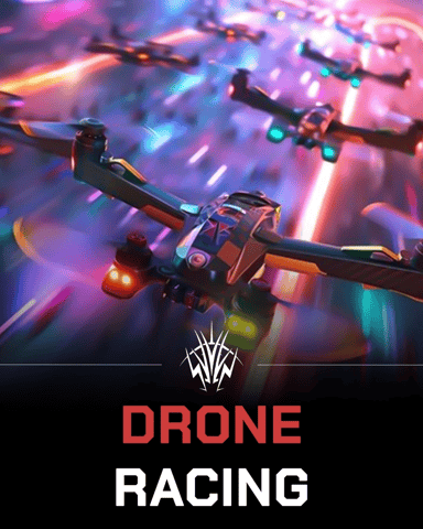 Poster of Drone Racing